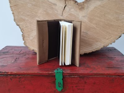 galerie/010 Buchhüllen/resized/2022-08-19 11.47.27_small.jpg